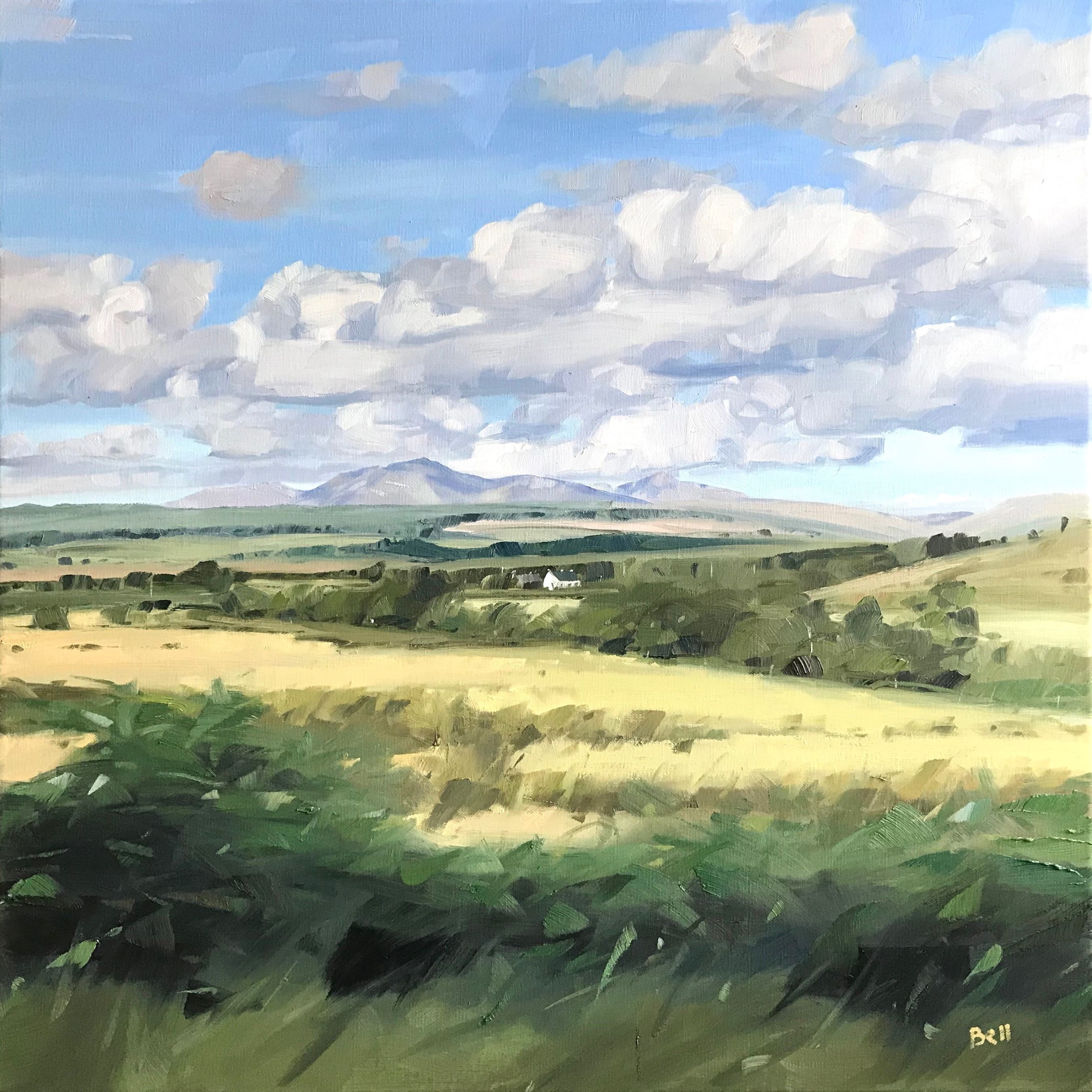 'Fields Near Torbeg, Arran' by artist John Bell